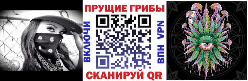 Галлюциногенные грибы Cubensis купить наркотики сайты MEGA ССЫЛКА Кяхта